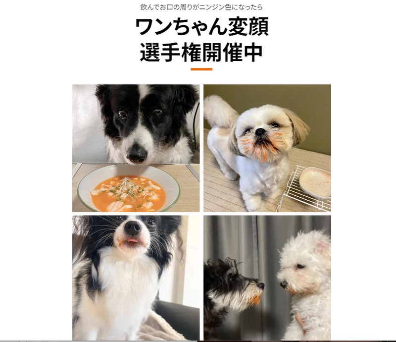 飼い主・ワンちゃんも夢中に『有機JAS認証にんじんジュース』情報サイト
